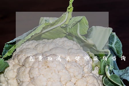 免费松溪县律师在线咨询 免费松溪县律师在线咨询