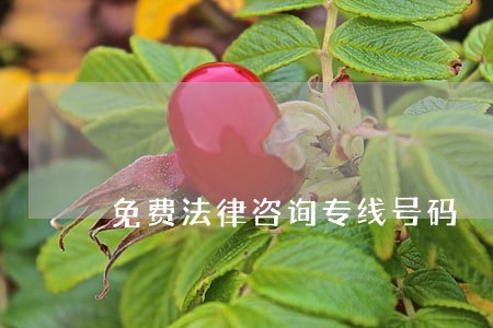 免费法律咨询专线号码 免费法律咨询专线号码