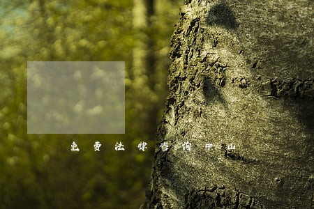 免费法律咨询中山 免费法律咨询中山