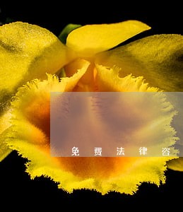 免费法律咨询事务所 免费法律咨询事务所