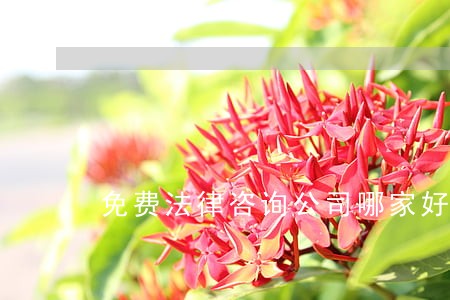 免费法律咨询公司哪家好 免费法律咨询公司哪家好