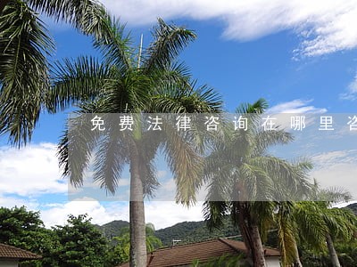 免费法律咨询在哪里咨询 免费法律咨询在哪里咨询