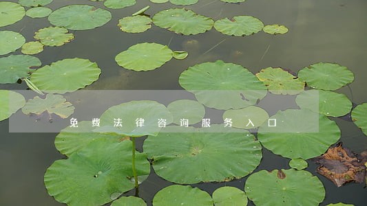 免费法律咨询服务入口 免费法律咨询服务入口