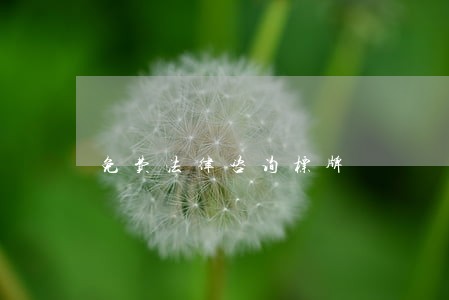 免费法律咨询标牌 免费法律咨询标牌