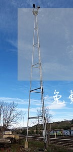 免费法律咨询法妞问答 免费法律咨询法妞问答