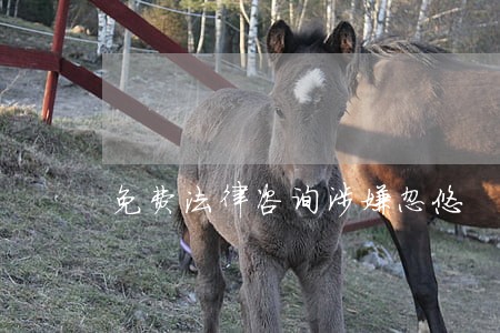 免费法律咨询涉嫌忽悠 免费法律咨询涉嫌忽悠