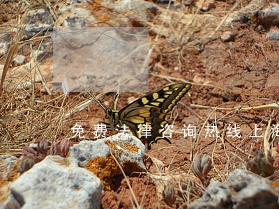 免费法律咨询热线上海 免费法律咨询热线上海