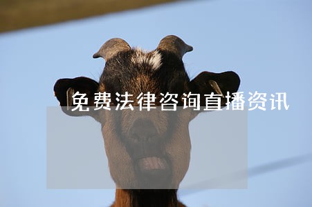 免费法律咨询直播资讯