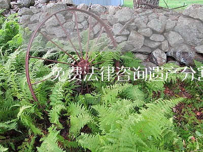 免费法律咨询遗产分割 免费法律咨询遗产分割