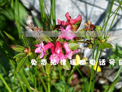 免费法律援助电话号码 免费法律援助电话号码