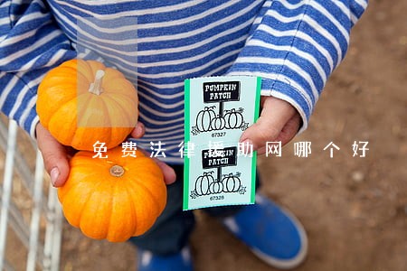 免费法律援助网哪个好 免费法律援助网哪个好