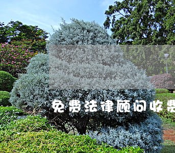 免费法律顾问收费标准 免费法律顾问收费标准