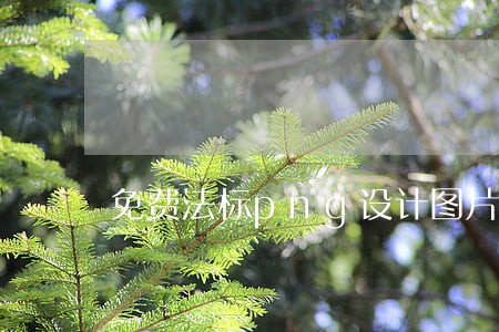 免费法标png设计图片大全 免费法标png设计图片大全