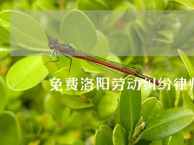 免费洛阳劳动纠纷律师在线咨询 免费洛阳劳动纠纷律师在线咨询