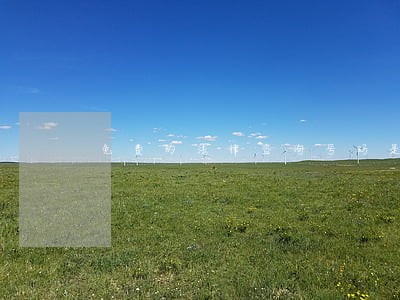 免费的法律咨询号码是 免费的法律咨询号码是