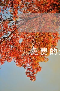 免费的法律咨询工程 免费的法律咨询工程