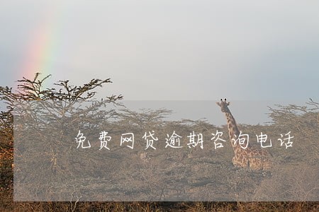 免费网贷逾期咨询电话 免费网贷逾期咨询电话
