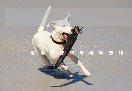 免费西宁法律援助热线