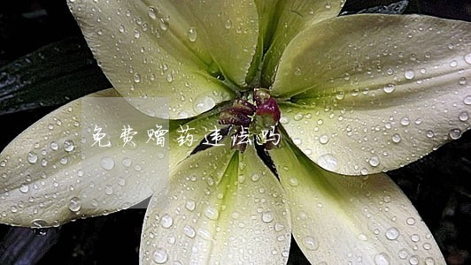 免费赠药违法吗