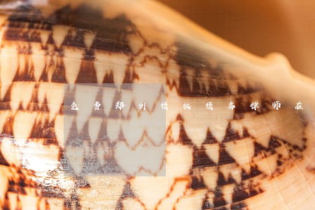 免费郑州债权债务律师在线咨询 免费郑州债权债务律师在线咨询