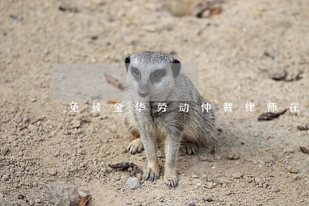 免费金华劳动仲裁律师在线咨询 免费金华劳动仲裁律师在线咨询