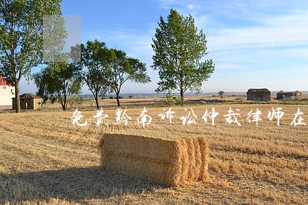 免费黔南诉讼仲裁律师在线咨询 免费黔南诉讼仲裁律师在线咨询
