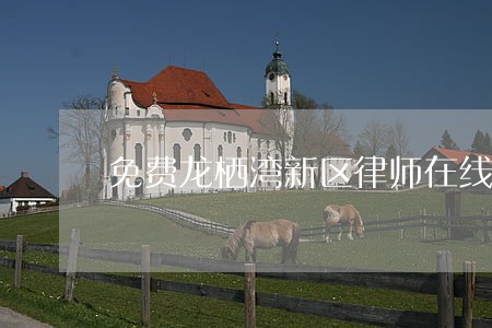 免费龙栖湾新区律师在线咨询 免费龙栖湾新区律师在线咨询