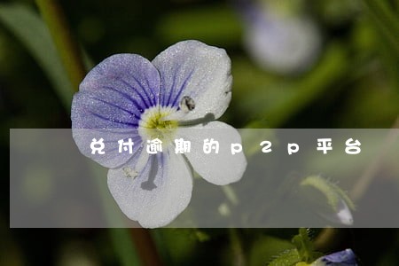 兑付逾期的p2p平台 兑付逾期的p2p平台