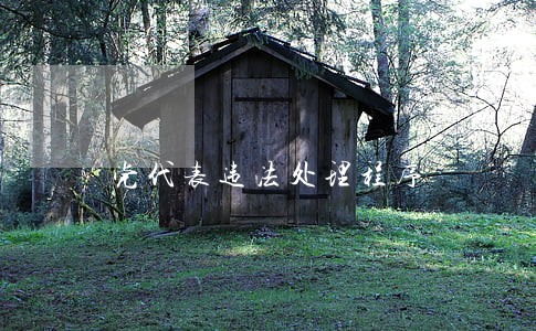 党代表违法处理程序 党代表违法处理程序