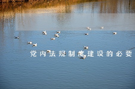党内法规制度建设的必要性 党内法规制度建设的必要性