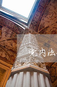 党内法规制度贯彻落实情况总结 党内法规制度贯彻落实情况总结