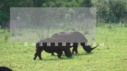 党内法规及国家法律法规 党内法规及国家法律法规