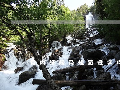 党内法规及规范性文件存在 党内法规及规范性文件存在