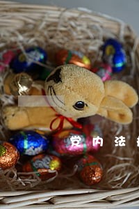 党内法规宣传与国家法律法规