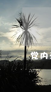 党内法规建议书 党内法规建议书