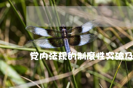 党内法规的制度性突破及相关问题 党内法规的制度性突破及相关问题