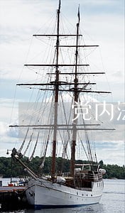 党内法规的编纂 党内法规的编纂