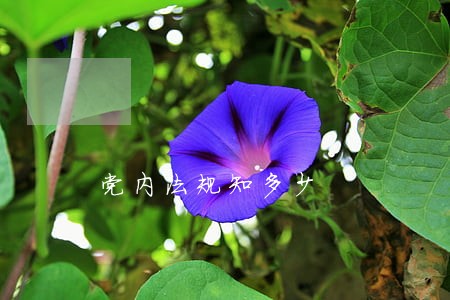 党内法规知多少