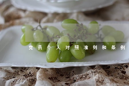 党员个人对照准则和条例查找问题 党员个人对照准则和条例查找问题