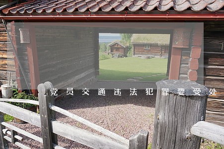 党员交通违法犯罪要受处分 党员交通违法犯罪要受处分