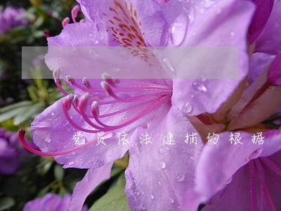 党员依法逮捕的根据 党员依法逮捕的根据