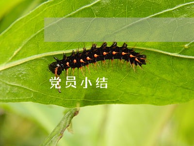 党员小结 党员小结