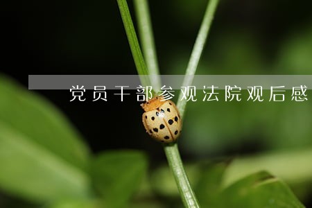 党员干部参观法院观后感 党员干部参观法院观后感