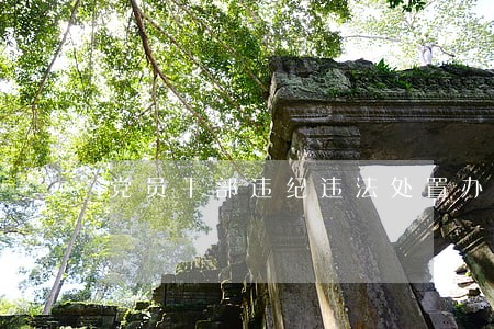 党员干部违纪违法处置办法细则