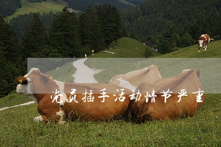 党员插手活动情节严重 党员插手活动情节严重