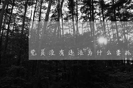 党员没有违法为什么要抓 党员没有违法为什么要抓