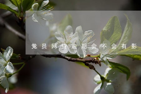 党员网贷逾期会不会有影响 党员网贷逾期会不会有影响