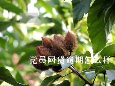 党员网贷逾期怎么样 党员网贷逾期怎么样