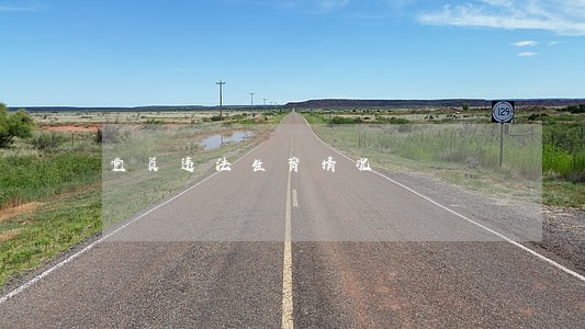 党员违法生育情况 党员违法生育情况