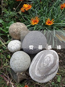 党员违法酒驾